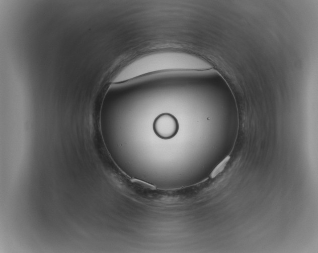 X0000111430256200907201114