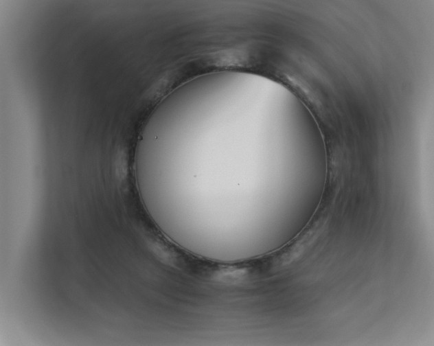 X0000111430257200907201114