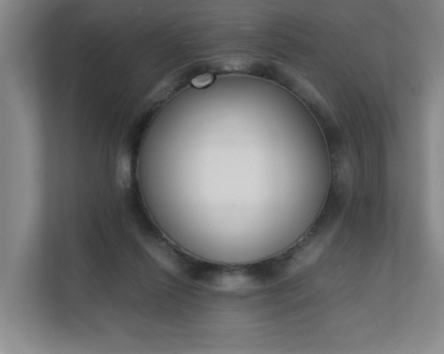 X0000111430262200907201114