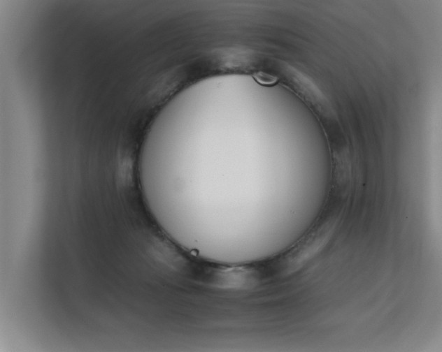 X0000111430269200907201114