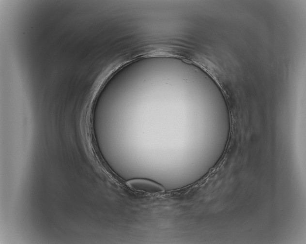 X0000111430289200907201114