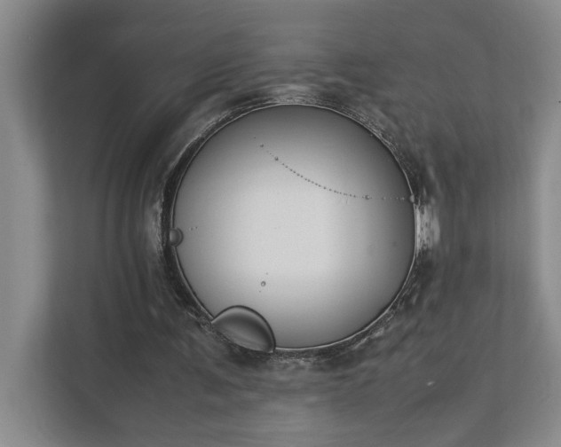 X0000111430291200907201114