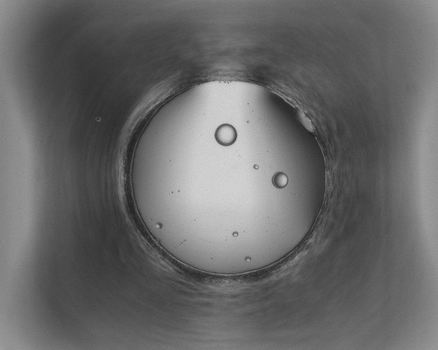 X0000111430293200907201114