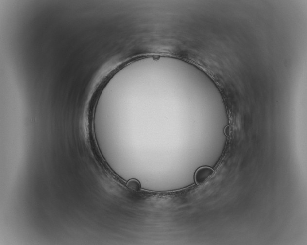 X0000111430294200907201114