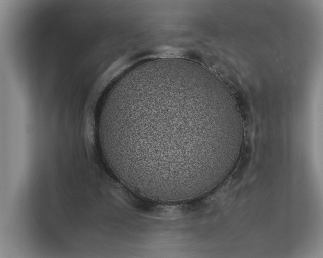 X0000111430295200907201114