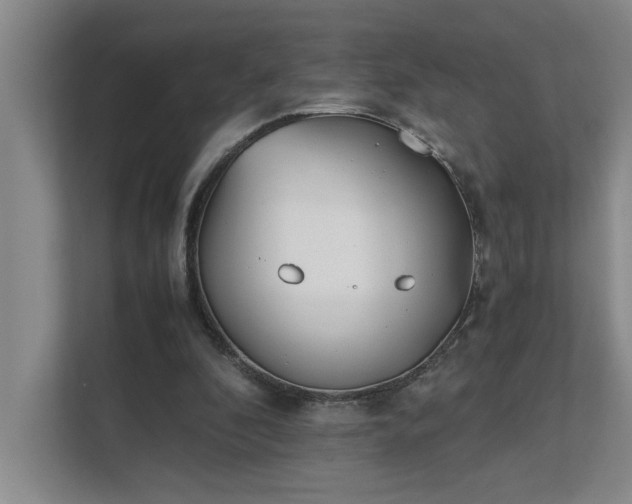 X0000111430296200907201114