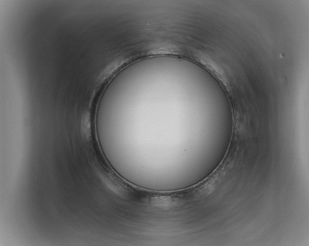 X0000111430298200907201114