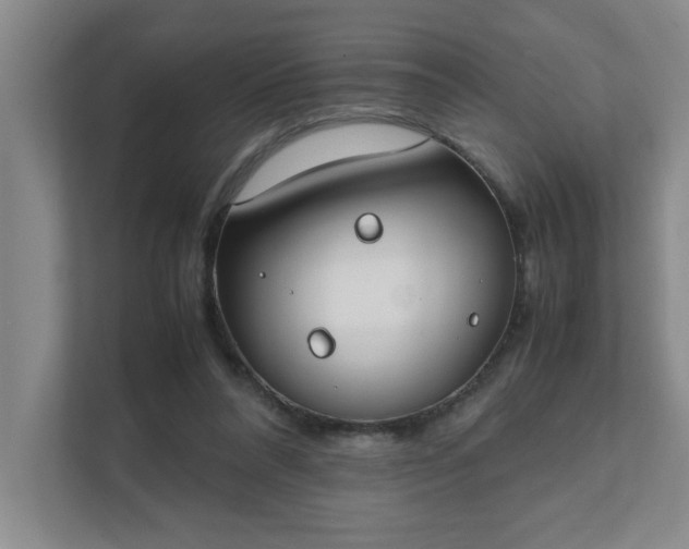 X0000111430304200907201114