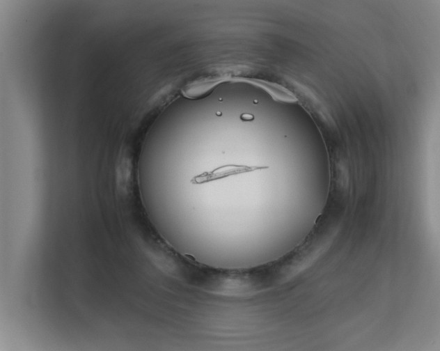 X0000111430308200907201114