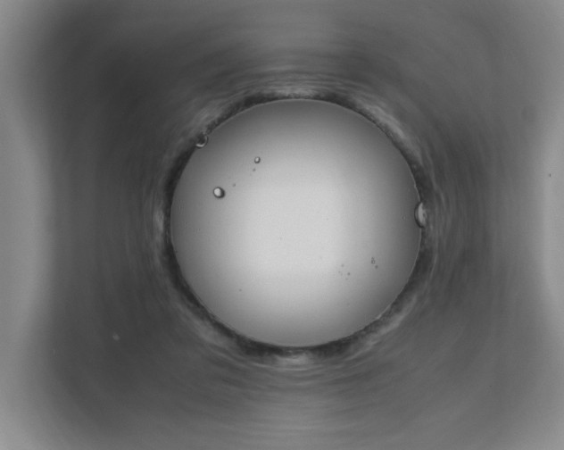 X0000111430309200907201114