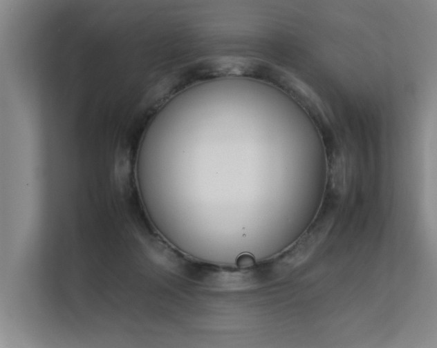 X0000111430314200907201113