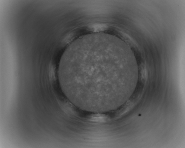 X0000111430316200907201113