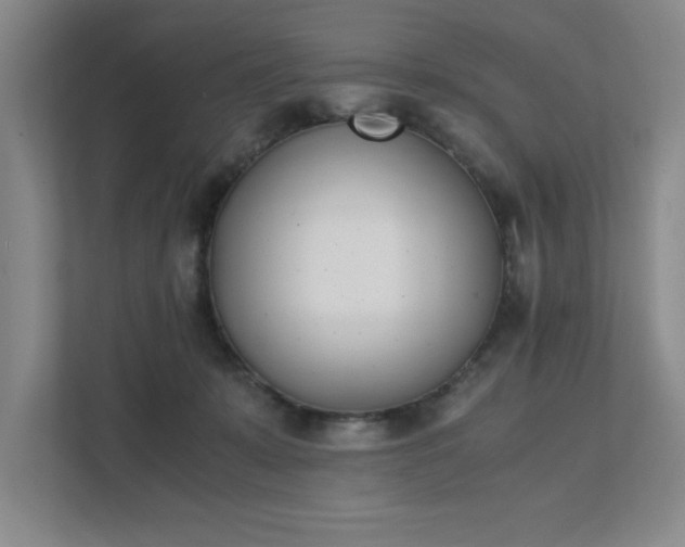 X0000111430319200907201113