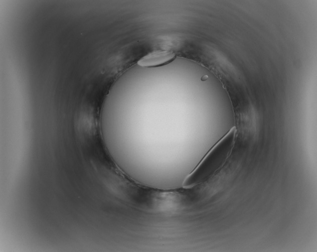 X0000111430324200907201113