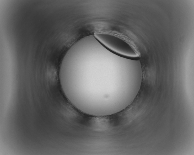 X0000111430327200907201113