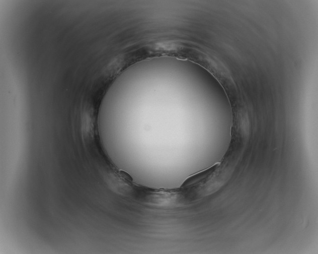 X0000111430328200907201113