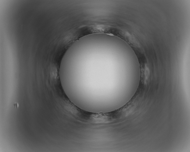 X0000111430331200907201113