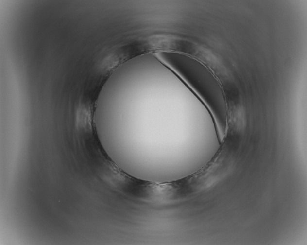 X0000111430333200907201113