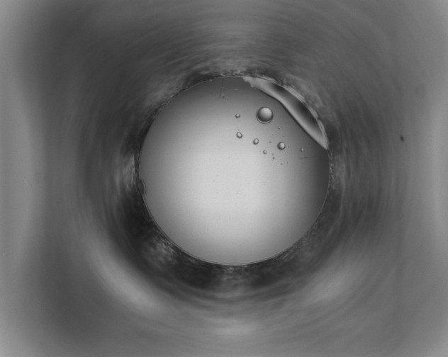 X0000111430335200907201113