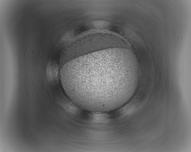 X0000111430336200907201113