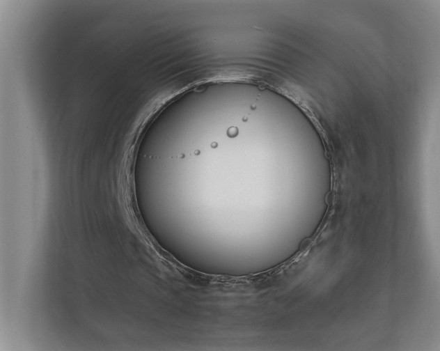 X0000111430337200907201113