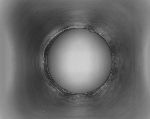 X0000111430338200907201113