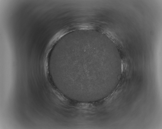 X0000111430339200907201113