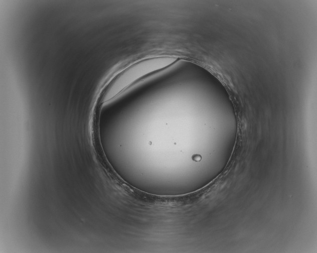 X0000111430340200907201113