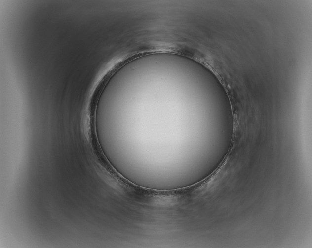 X0000111430342200907201113