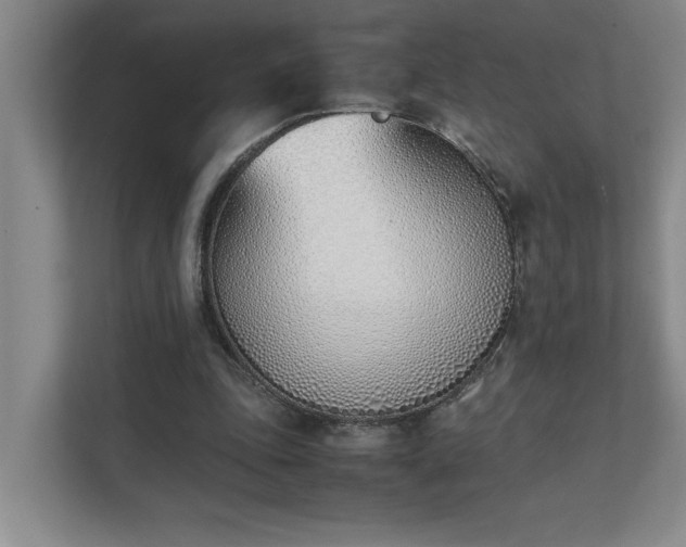 X0000111430343200907201113