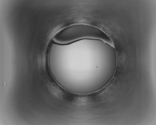 X0000111430344200907201113