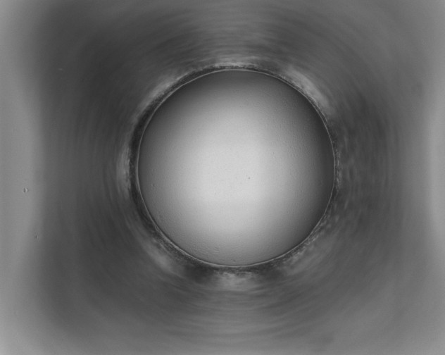 X0000111430346200907201113