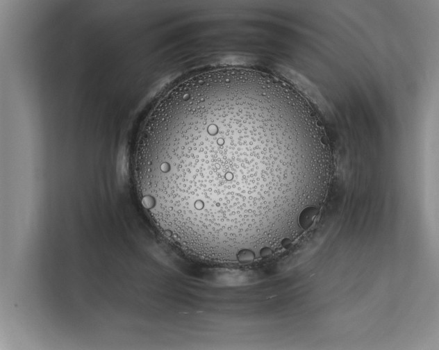 X0000111430347200907201113