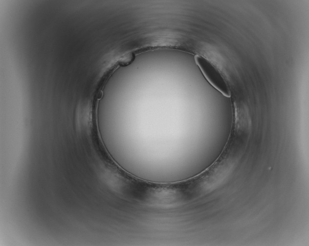 X0000111430348200907201113