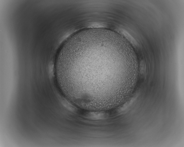 X0000111430351200907201113