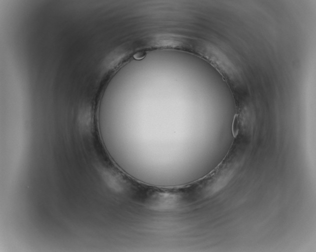 X0000111430352200907201113