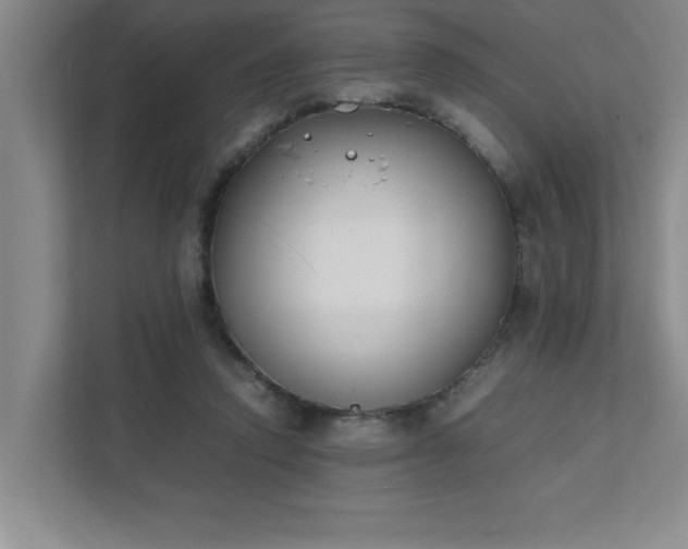 X0000111430354200907201113