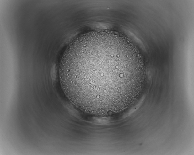 X0000111430359200907201113