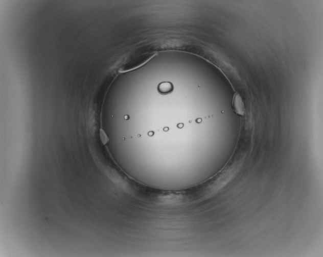 X0000111430362200907201113