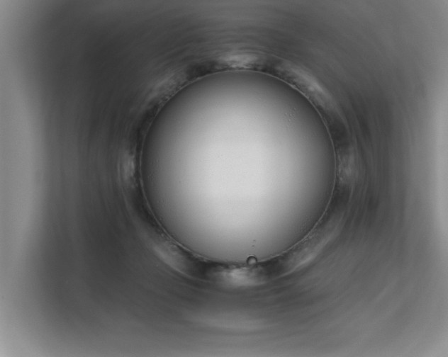 X0000111430365200907201113