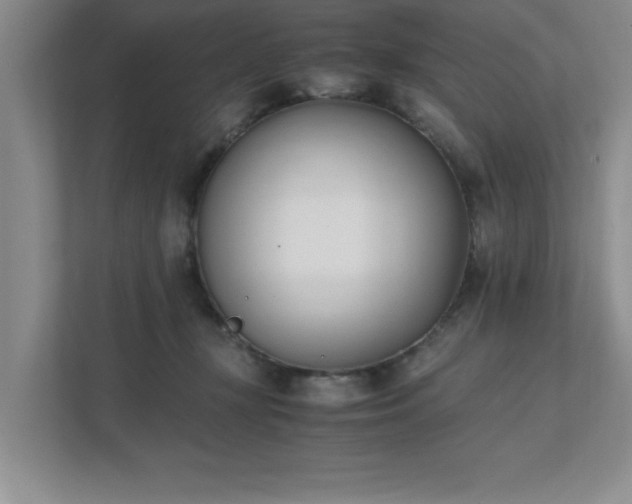 X0000111430367200907201113