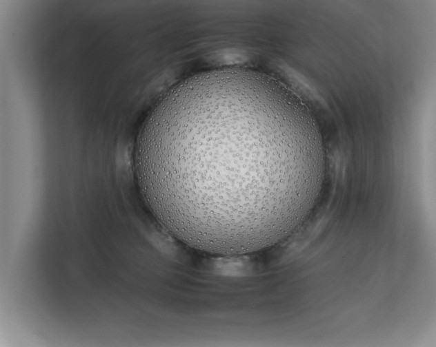 X0000111430373200907201113