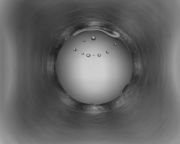 X0000111430379200907201113