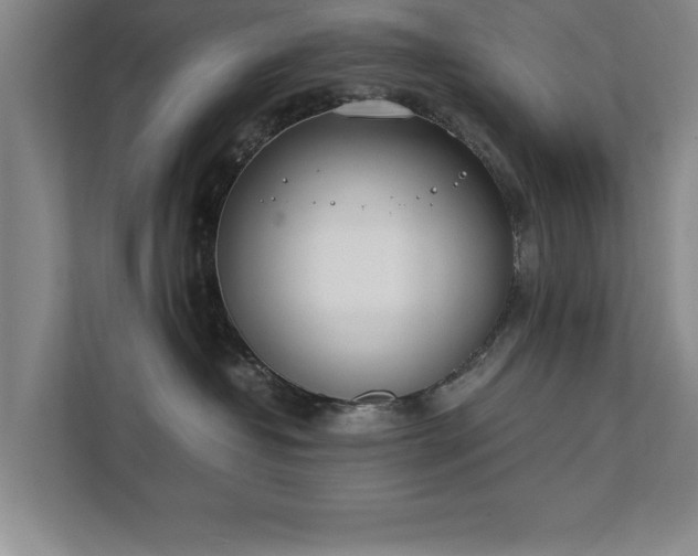 X0000111430382200907201113