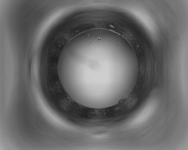 X0000111430383200907201113