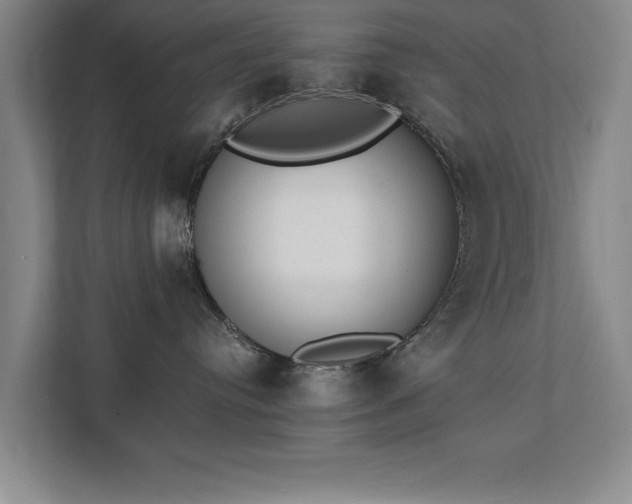 X0000111430384200907201113