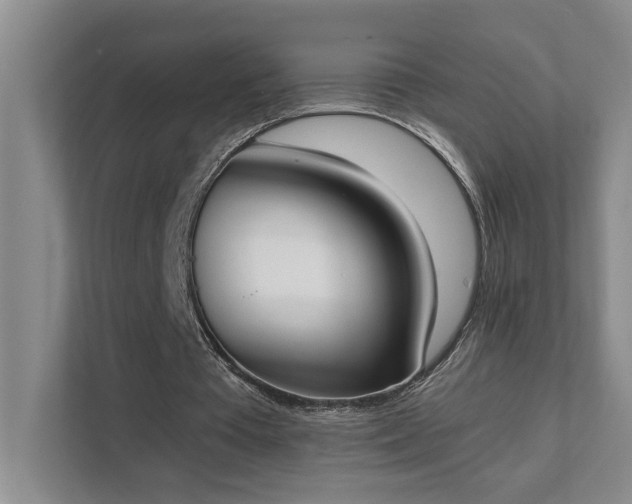 X0000111430385200907201113