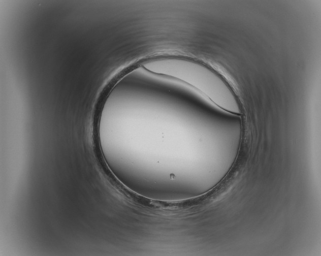 X0000111430391200907201112