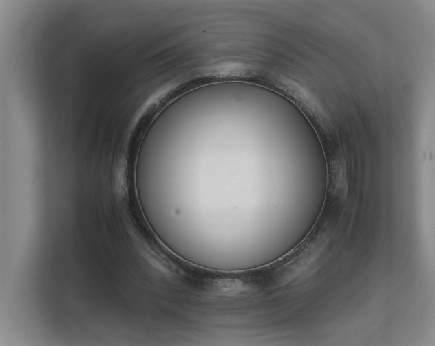 X0000111430392200907201112