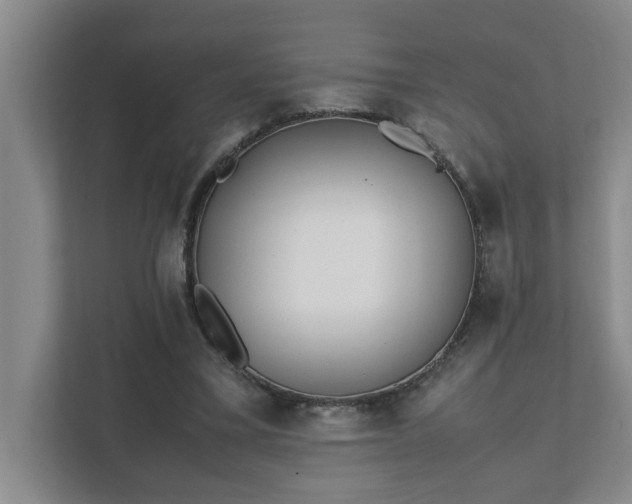 X0000111430395200907201112